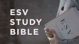 psalms 48 esv gateway.